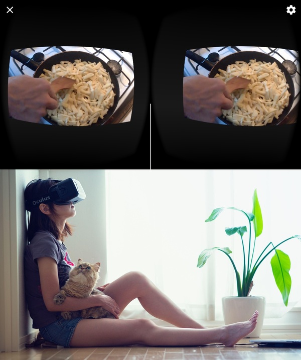 Virtual reality, that's what it is - My, Виртуальная реальность, Virtual world, , cat, Girls, Techn0man1ac, Mrpodelkints