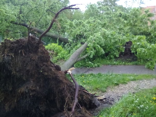Электросталь сегодня | Пикабу
