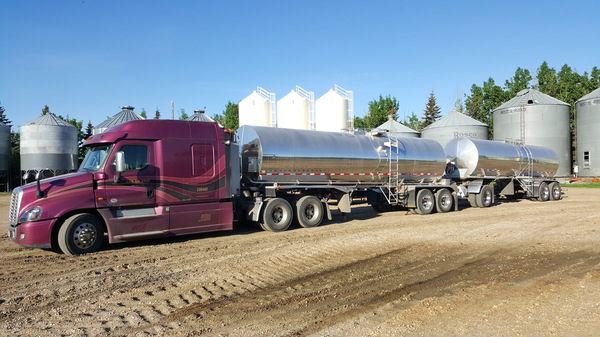 Ненавижу эти упражнения или За что я обожаю свою работу.