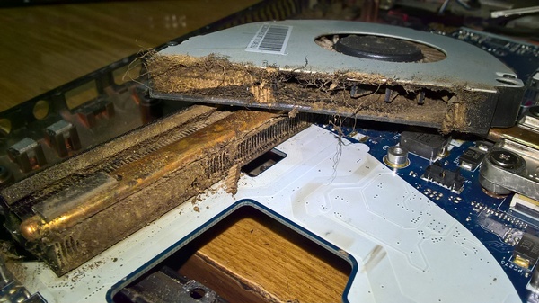 Немного мерзости вам в ленту. Ноутбук курильщика