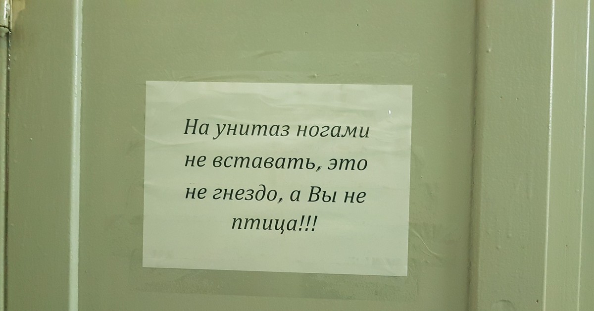 В общежитии запрещено. Туалет в студенческом общежитии. Объявление не вставать ногами на унитаз. Объявления в общежитии.