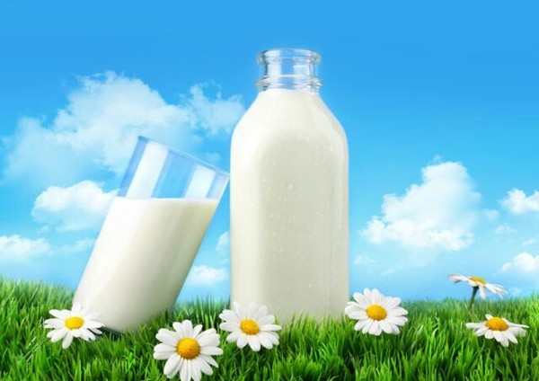 World Milk Day!!! - Thank you, Congratulation, Childhood, Milk