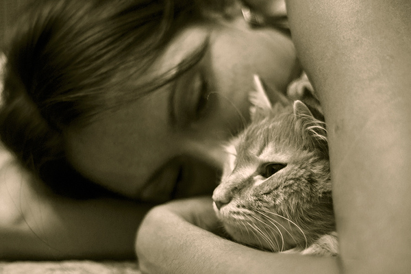 Children's dreams - cat, The photo, Children, My, Dream