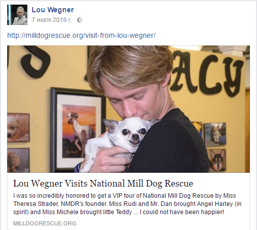 Sixteen-year-old Lou Wegner saved 20,000 dogs and cats from euthanasia - Dog, Animals, Animal Rescue, The rescue, Pet, Dogs and people, Lulling to sleep, Longpost, Pets