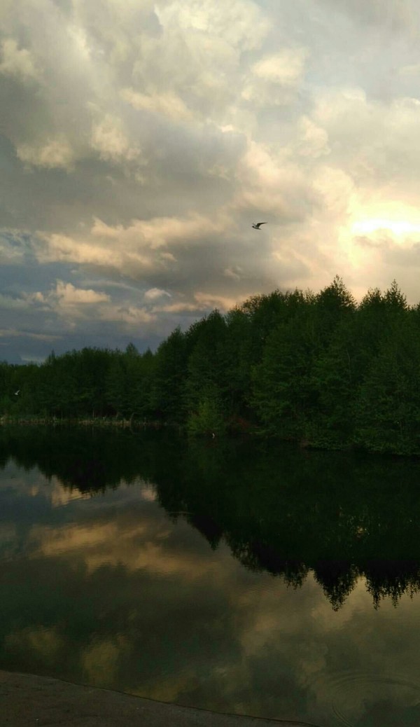 Atmospheric - Nature, My, River