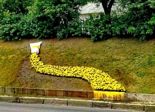 Just a flower bed in Kharkov - My, Kharkov, Flower bed, Landscape design, Paints, Substance abuse