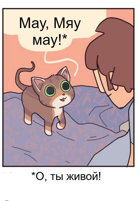 Котики - Комиксы, Картинки, Кот, Mercworks, Длиннопост