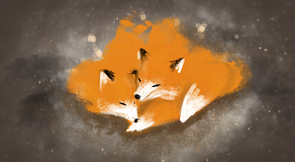 Fire foxes ,  , 