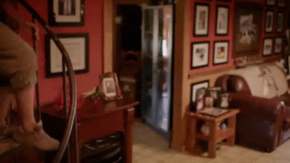 Well hello! - GIF, Uninvited guests, Funny