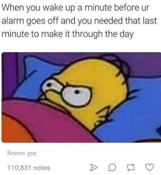 When there is a minute left before the alarm clock rings, and you understand that you cannot live a day without this minute - Alarm, Minute, Reddit