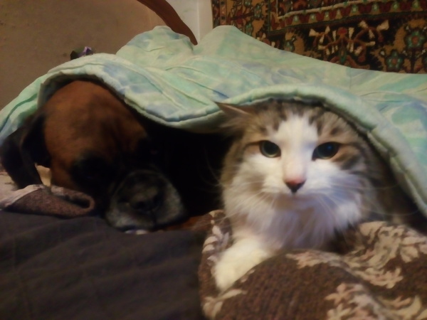 Шёл пятый день лета