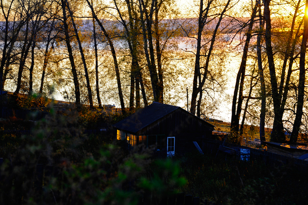 House of the rising sun... - The photo, House on the shore, River, My, Sunrise, Tree