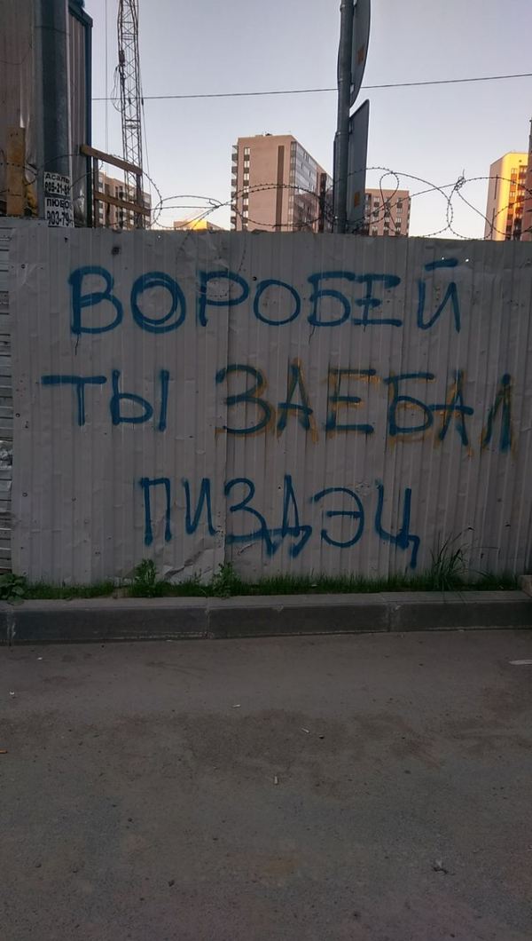 Peter. - My, The inscription on the fence, Novoye Devyatkino