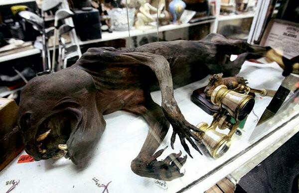 ��������� ����������???