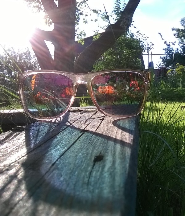 Summer - My, Nokia Lumia, The photo, Summer, Glasses, Dacha