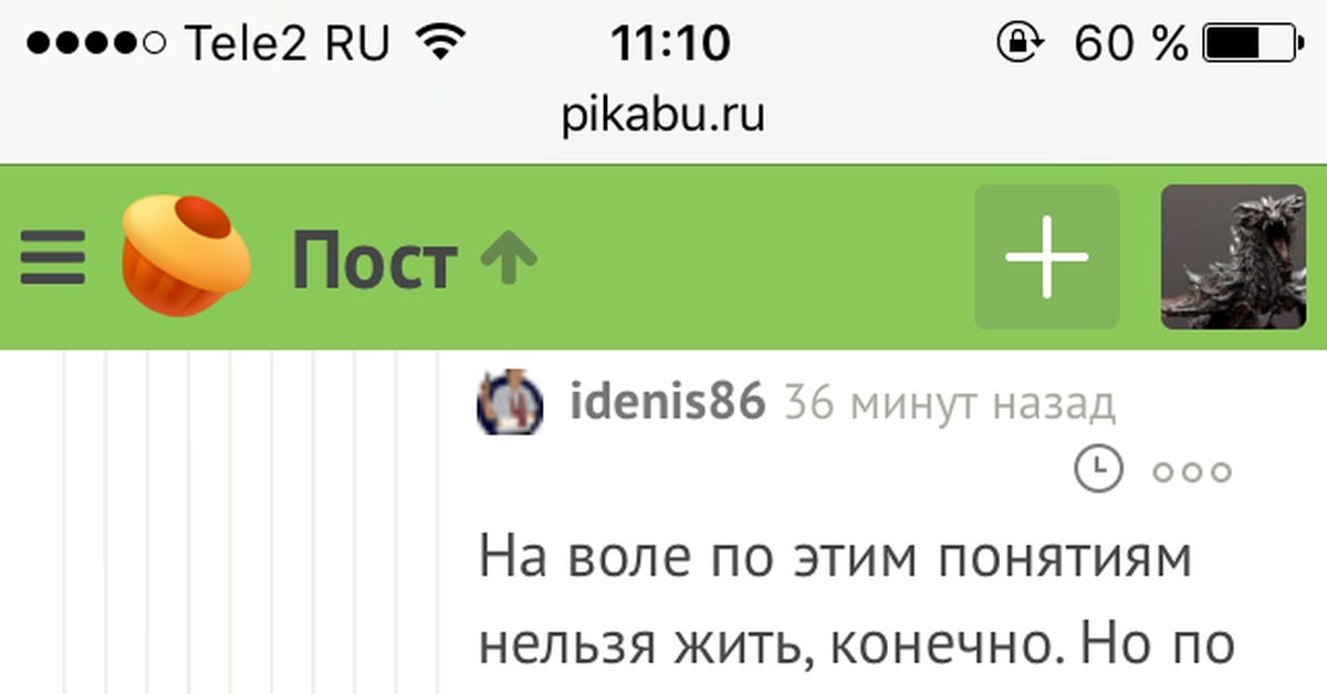 АУЕ во всей красе | Пикабу