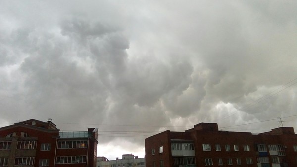 ������ ������