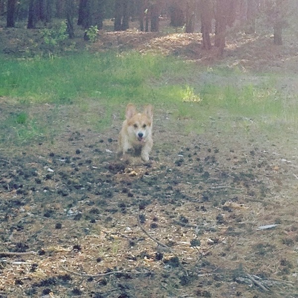 ����� �������� :)