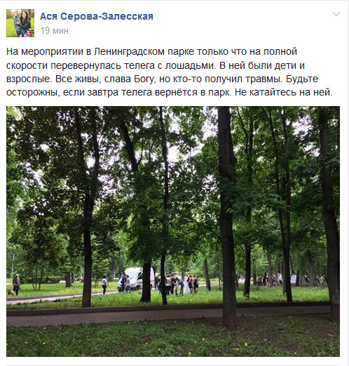 In the Leningrad park of Moscow, horses were carried and a cart with children was overturned - Moscow, Horses, State of emergency, Longpost