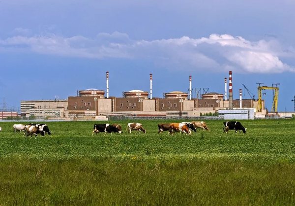 �������������� ������� - 4