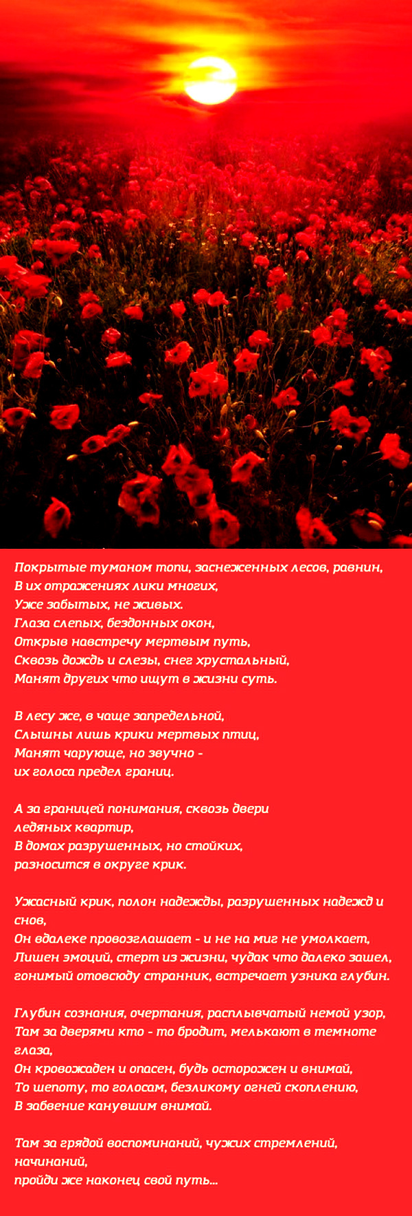 Длиннопост: истории из жизни, советы, новости, юмор и картинки — Лучшее |  Пикабу