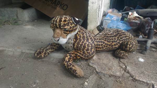 ����� - ����������.