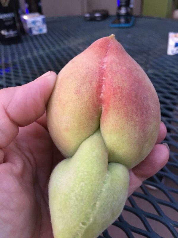 Fruit, fucking fruit - Фрукты, Porn