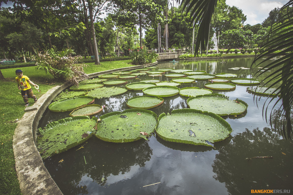 Saranrom Royal Park in Bangkok - My, Thailand, Bangkok, The park, Lotus, Queen, Longpost