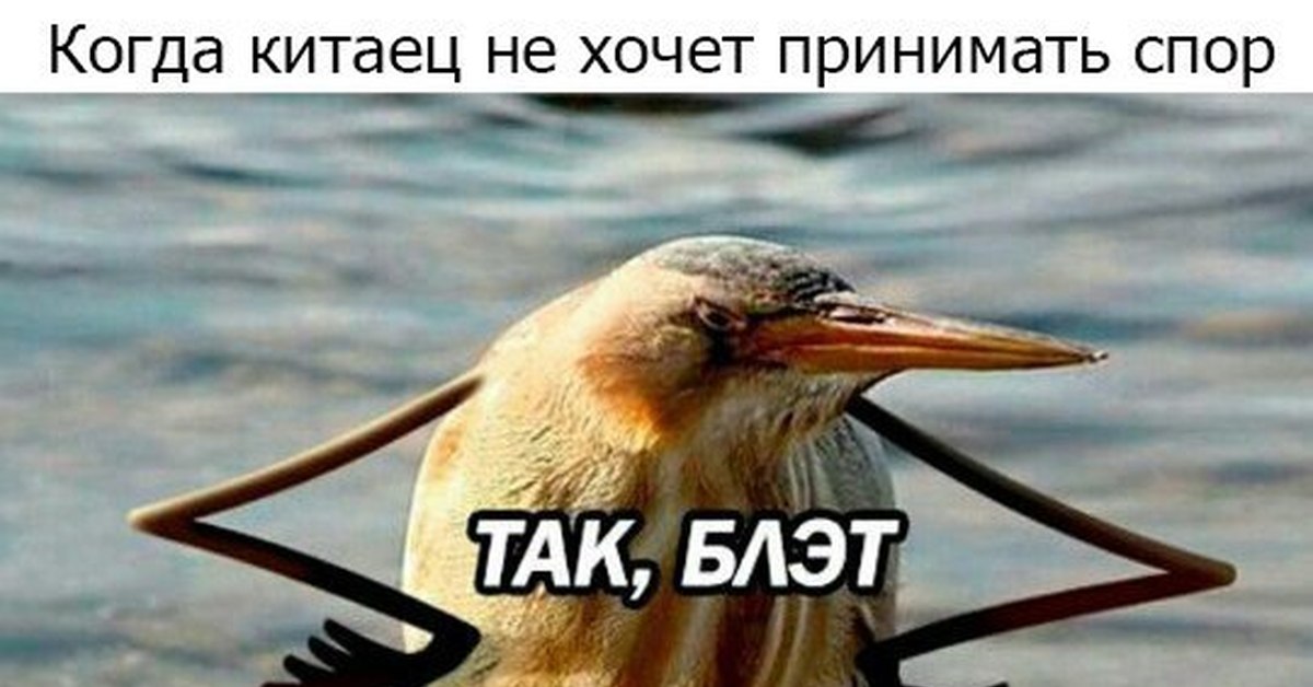 Картинка так блэт