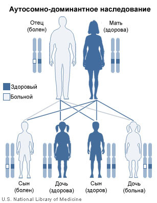 ФАТАЛЬНАЯ СЕМЕЙНАЯ БЕССОННИЦА?