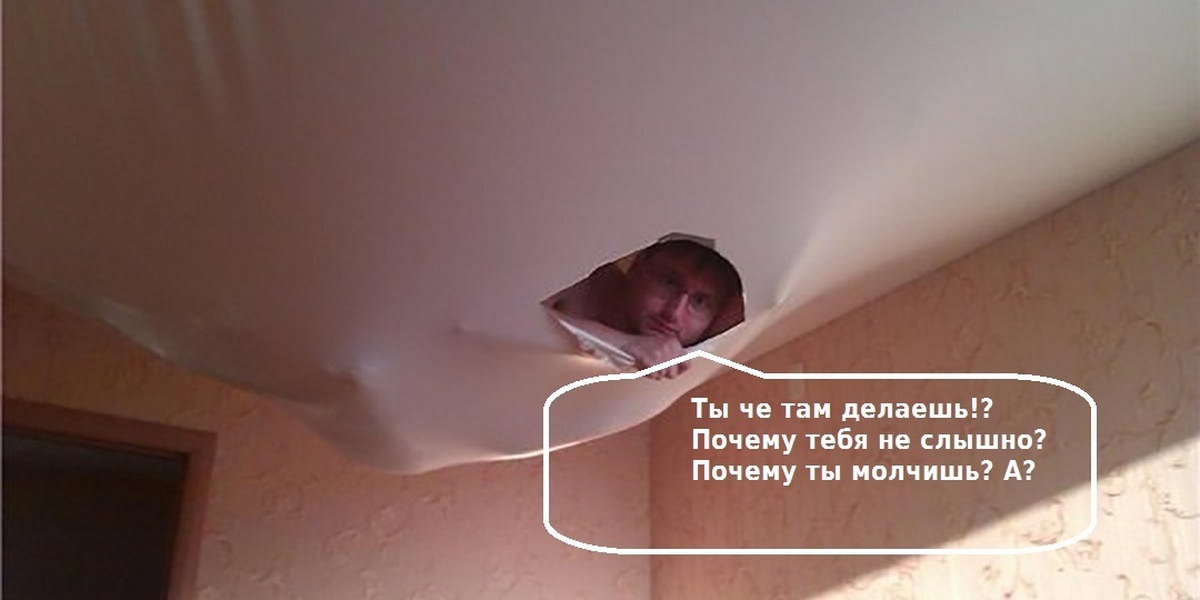 Кот на натяжном потолке