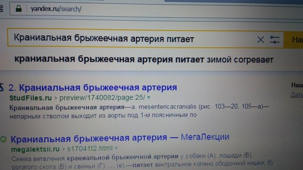 Yandex knows who keeps you warm. - Anatomy, My, Yandex., Internet