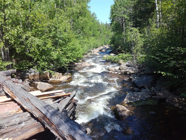 A little nature of the Irkutsk region. - My, The nature of Russia, Irkutsk region, Eaglet, Longpost