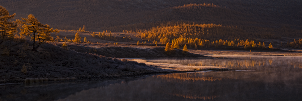 13. �������, ��.������