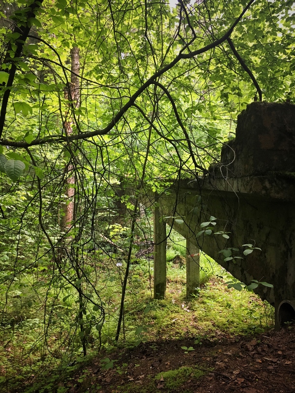 abandoned bridge - My, Nature, Leningrad region, Bridge, Urbanphoto, Abandoned, Longpost