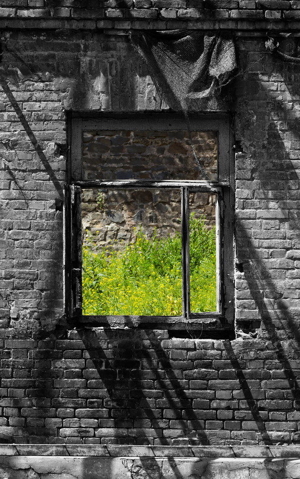       , , , , Canon 60D, 