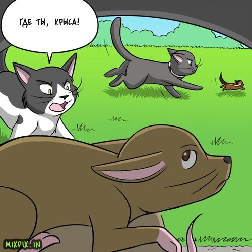 stealth masters - GIF with background, Translation, Comics, Kat swenski, GIF, Longpost, cat