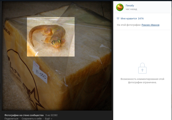 ��� ����� ������ ������?