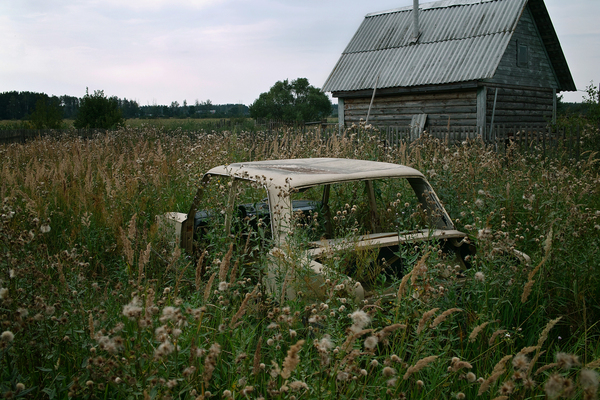 grown - Village, Summer, My