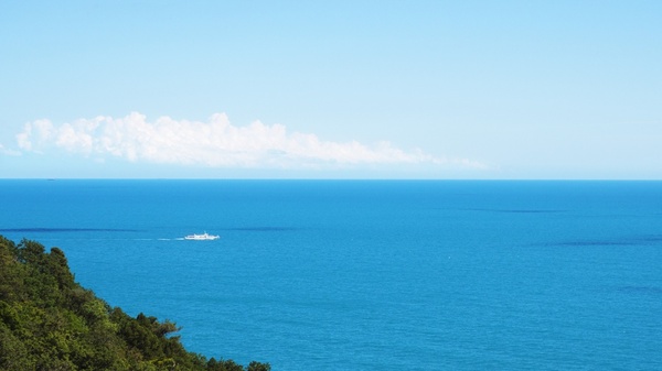 Turquoise... - My, Black Sea, Plankton, 