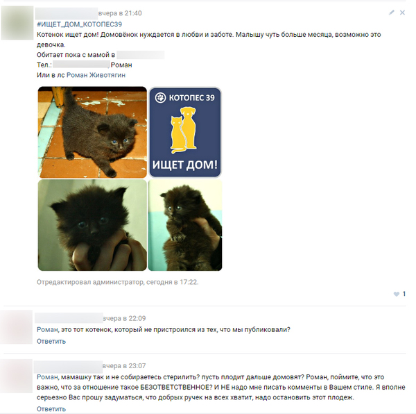 Correspondence in the group with announcements about homeless animals - OPPOSITOR TO STERILIZATION!! 11! - My, Aunt, Correspondence, Screenshot, Comments, Commentators, Kindness, Animals, Get it first, Longpost
