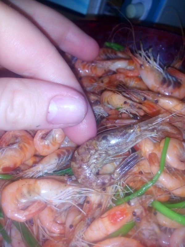 Shrimp (crustacean) - Shrimps, My, Longpost, The photo, Question, Crustacean