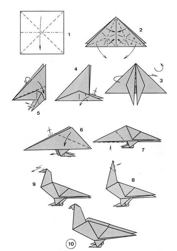 origami dove - Origami, Pigeon, Fine motor skills