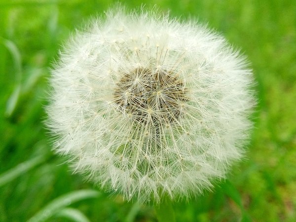 Just pictures from real life... - My, Longpost, My, The photo, A selection