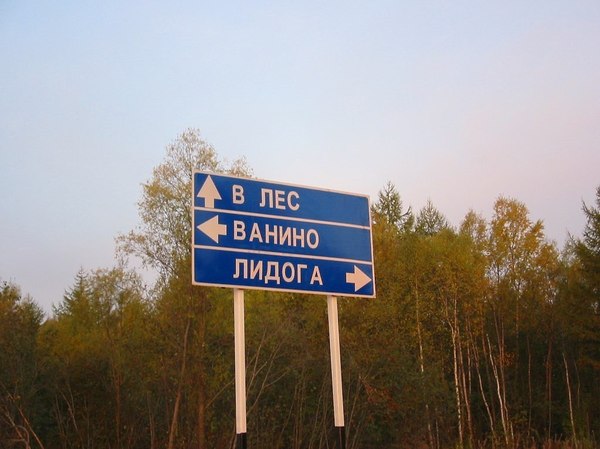 Lead us Susanin... Into the forest - Forest, Lidoga-Vanino, Road sign