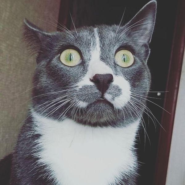 ��� ��� "�� ���� ��� ���������"? � ��� ����?