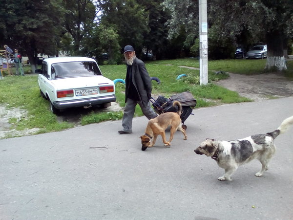 Курский бомж готов «отгрызть голову» за своих собак