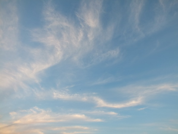 Evening sky over Bitsevsky Park - My, The photo, Walk, Sky, Evening, Bitsevsky Park, Longpost, My