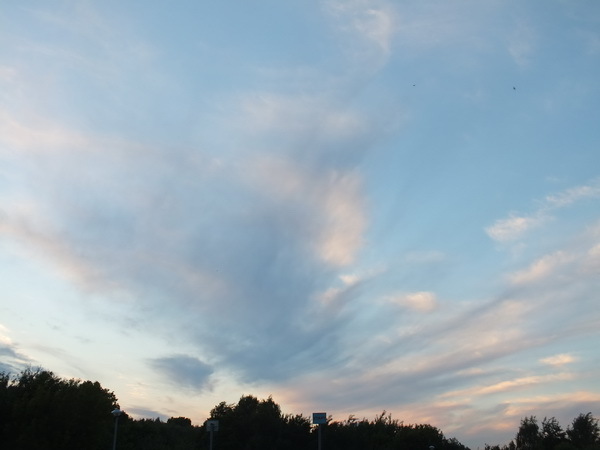 Evening sky over Bitsevsky Park - My, The photo, Walk, Sky, Evening, Bitsevsky Park, Longpost, My