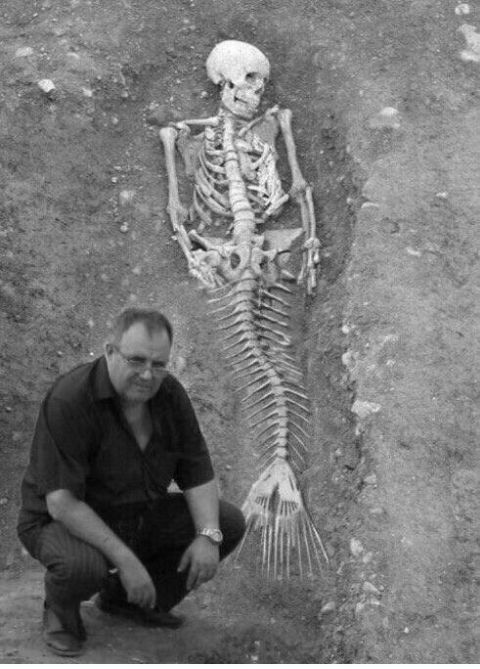 Mermaid - Mermaid, Excavations